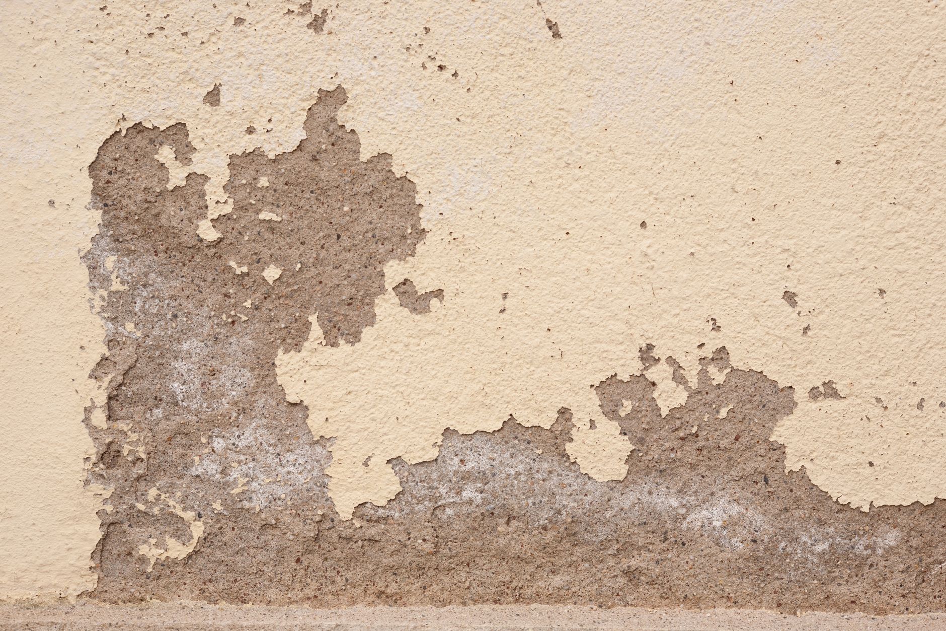 Prévenir et traiter les taches d'humidité sur vos murs cet hiver