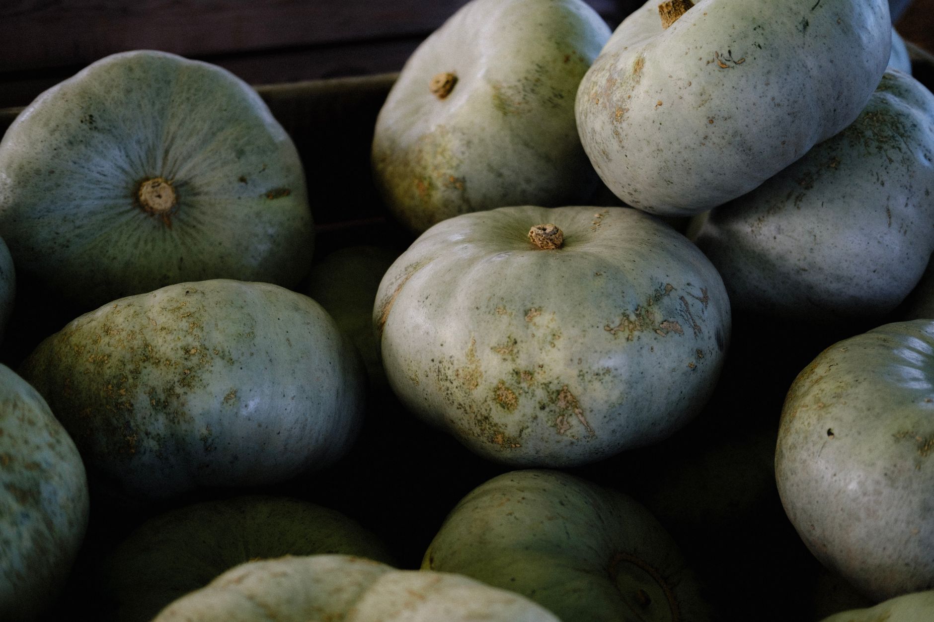 Conservez vos courges plus longtemps avec un objet gratuit