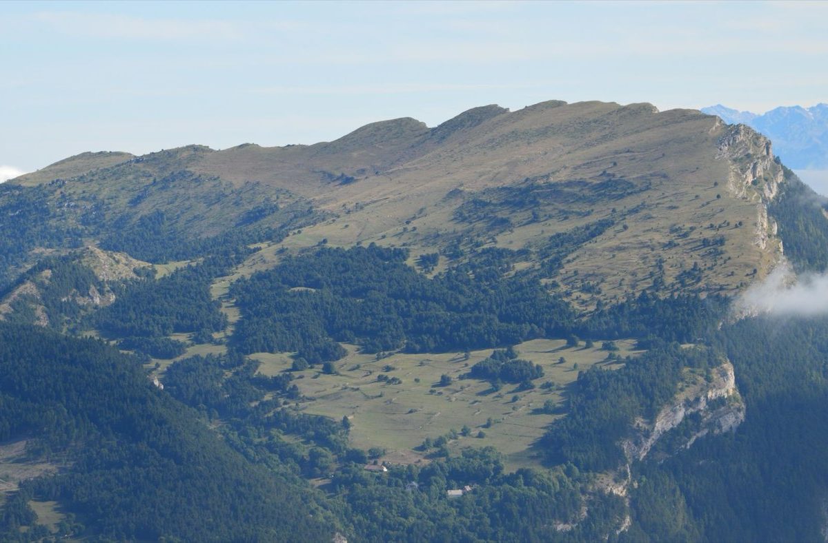 Famille · Parentalité - guide éditorial et navigation