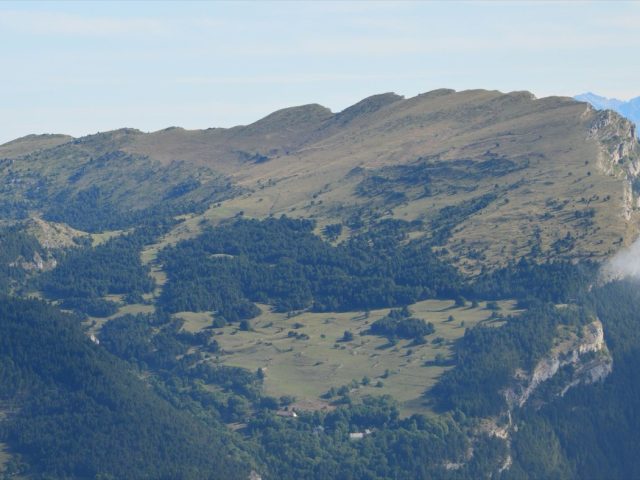 Famille · Parentalité – guide éditorial et navigation