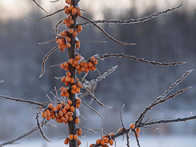 Guide pour réduire la facture de chauffage en hiver