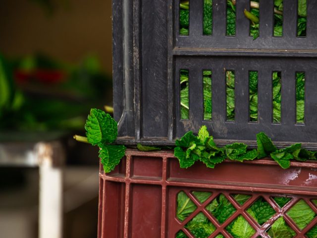 Conservez vos courges plus longtemps avec un objet gratuit