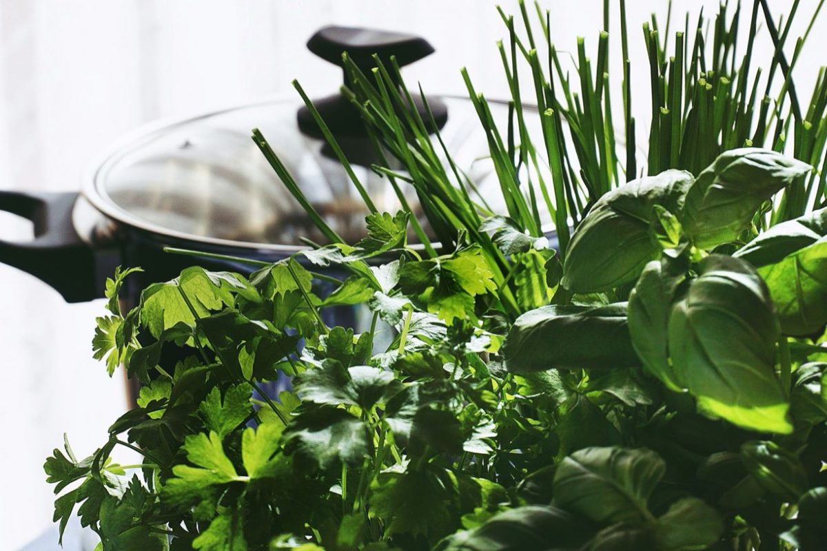 Avis sur les autocuiseurs Tefal : documentation et retours