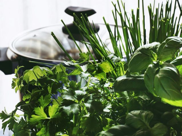 Avis sur les autocuiseurs Tefal : documentation et retours